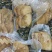 融安小洲头菜，生态种植，香脆可口，独特风味，绿色下饭菜