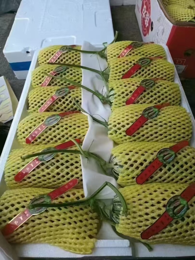 羊角蜜各种甜瓜基地直发货源充足量大从优价格美丽