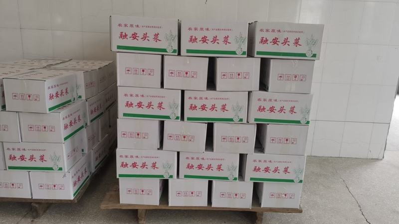 融安小洲头菜，生态种植，香脆可口，独特风味，绿色下饭菜