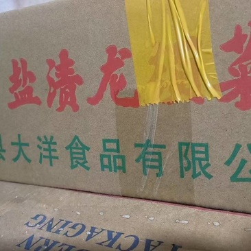 海草