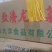 海草