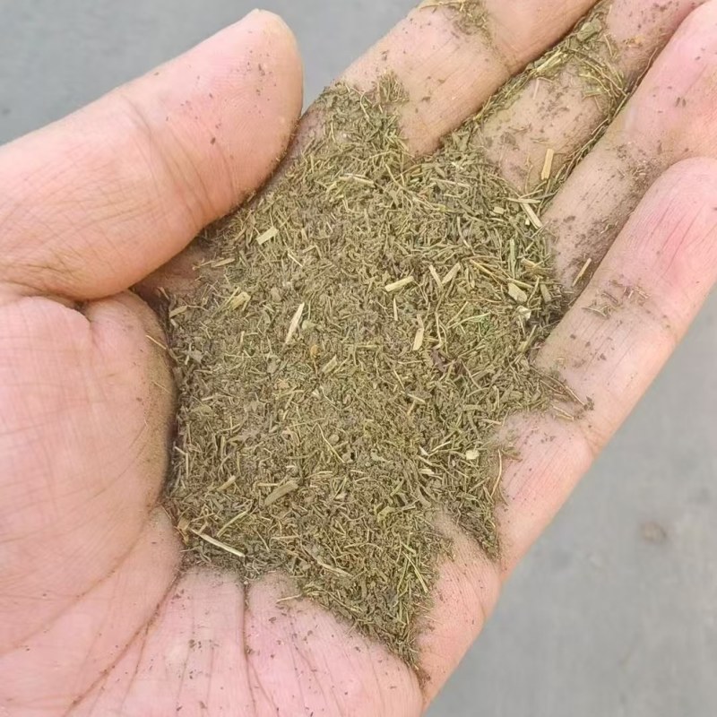 甜叶菊渣