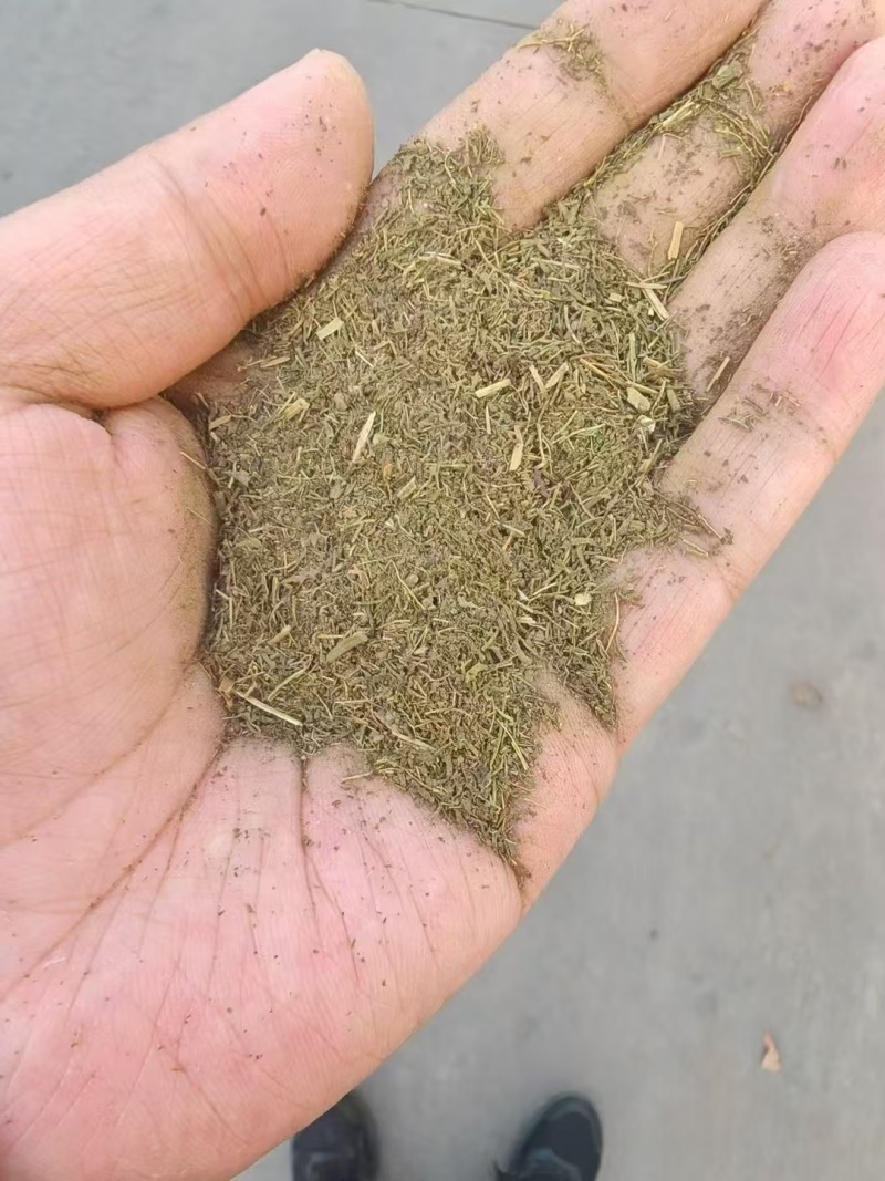 甜叶菊渣