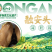 融安小洲头菜，生态种植，香脆可口，独特风味，绿色下饭菜