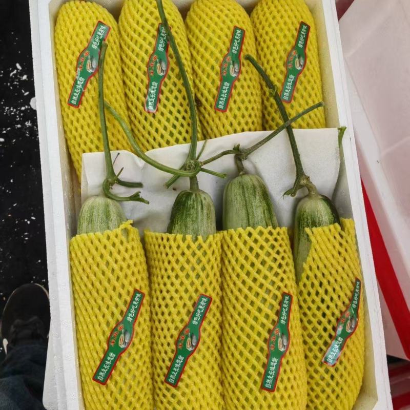 羊角蜜各种甜瓜基地直发货源充足量大从优价格美丽