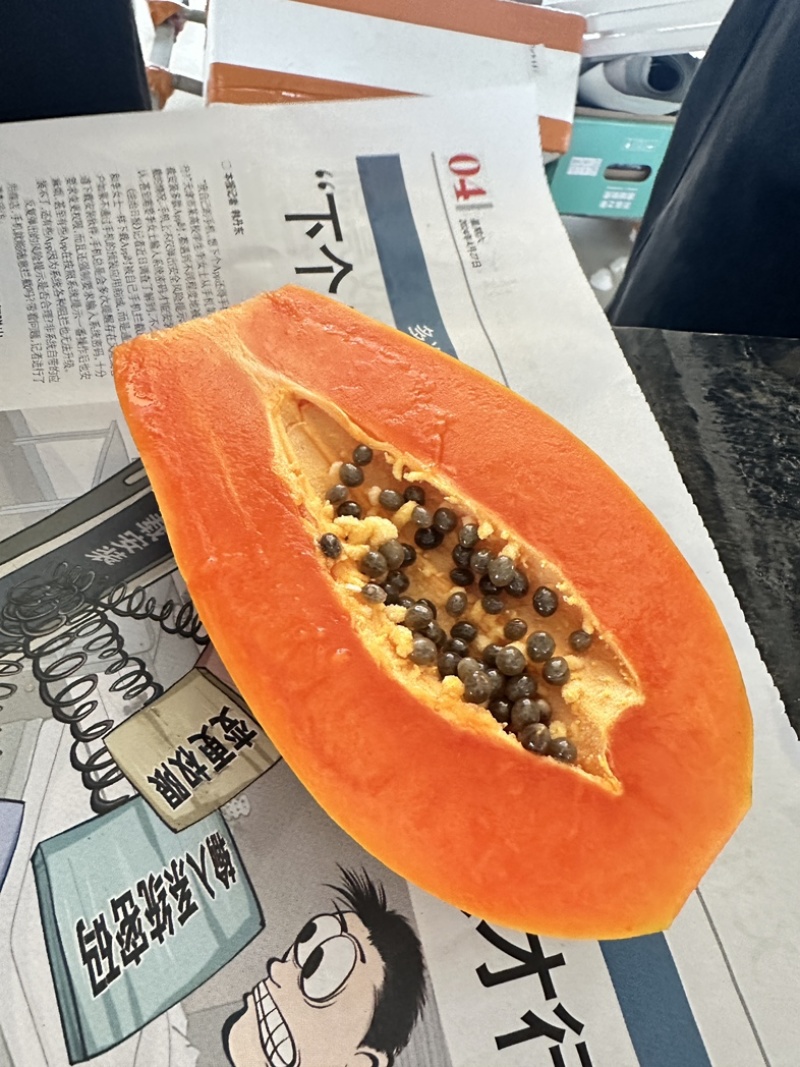 大青木瓜（水果木瓜）
