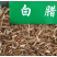 白蜡种子速生白蜡种子白蜡树种