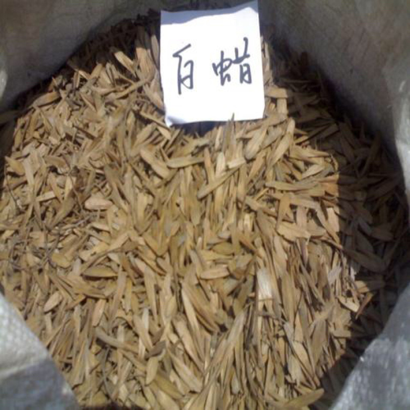 白蜡种子速生白蜡种子白蜡树种