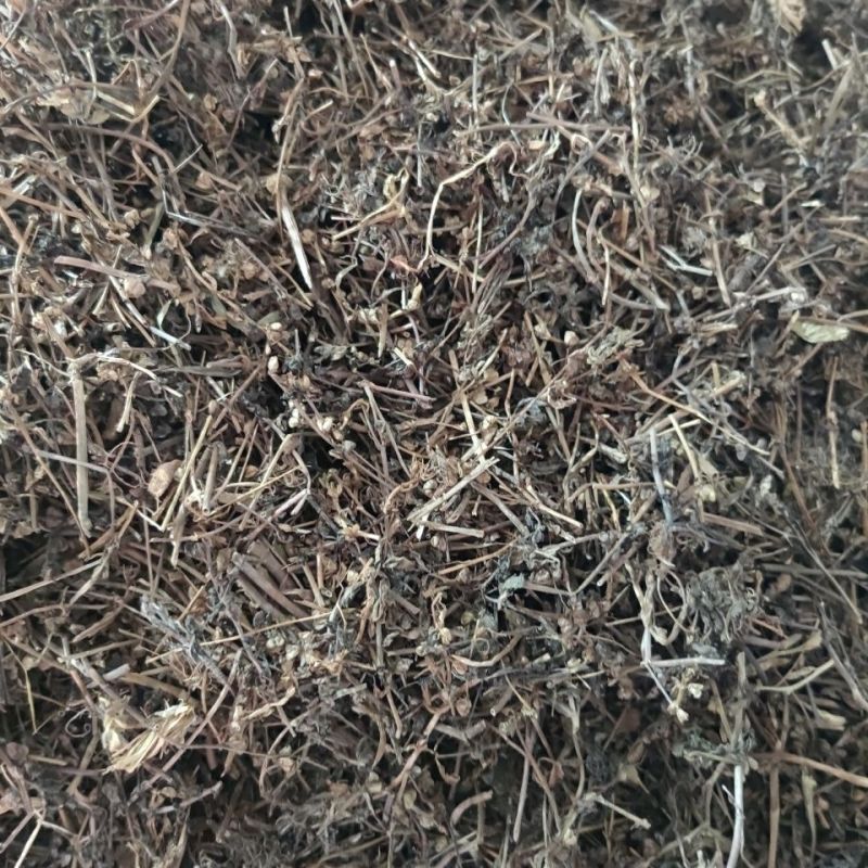 中药材仙桃草1公斤接骨草、蟠桃草正品