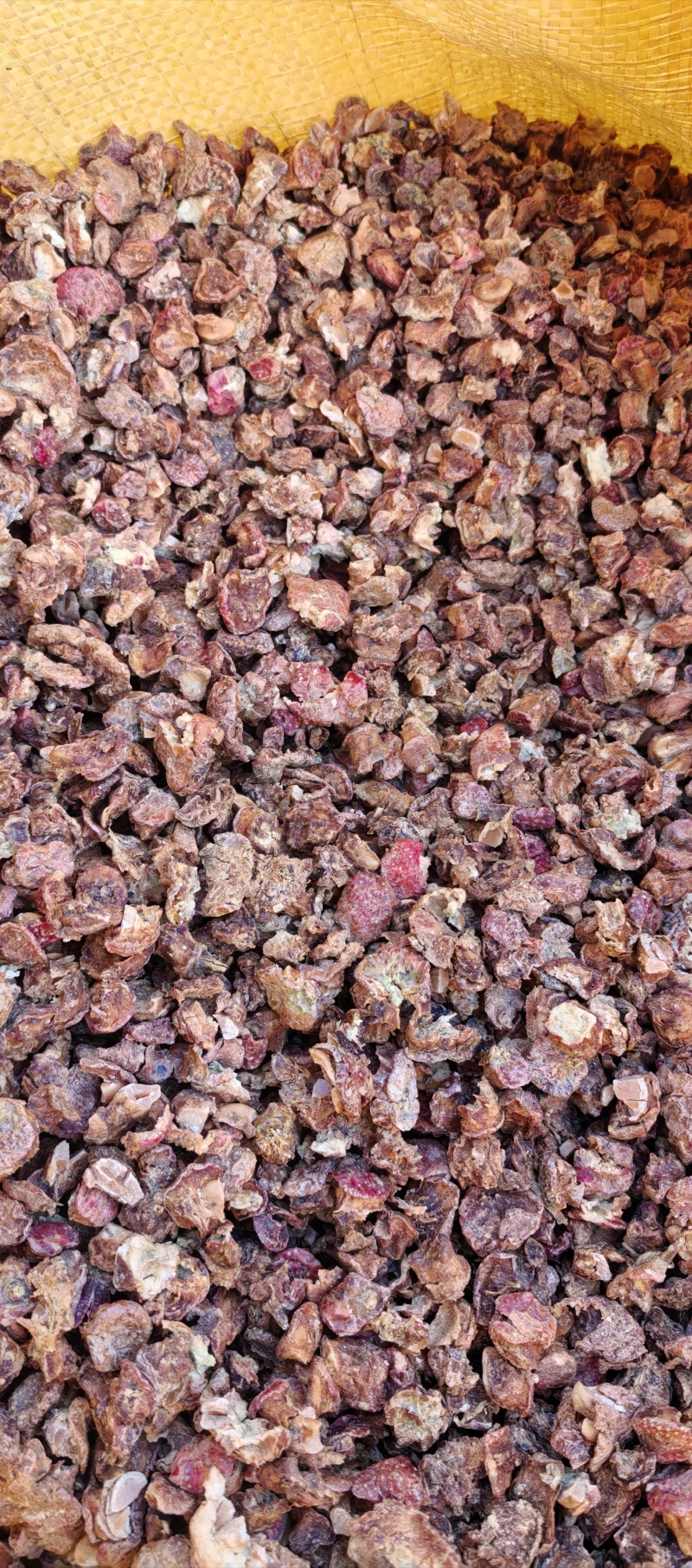 常年供应各种规格的山楂片，山楂肉，山楂，无籽山楂片