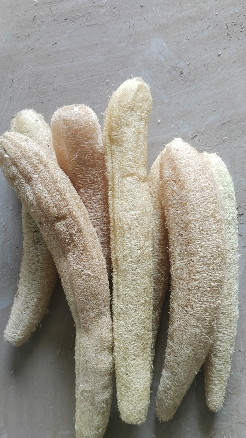 徐州精品丝瓜烙，产地直发，保质保量，欢迎老板选购