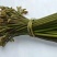 贵州野生蕨菜
