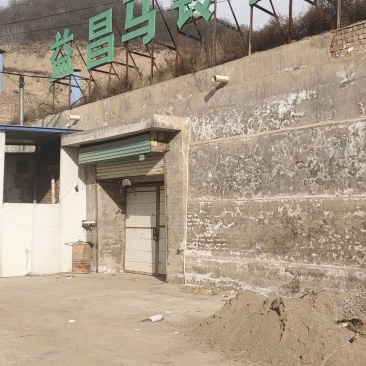 黄皮黄心陇七土豆炸薯片薯条和土豆饼土豆泥的专用薯