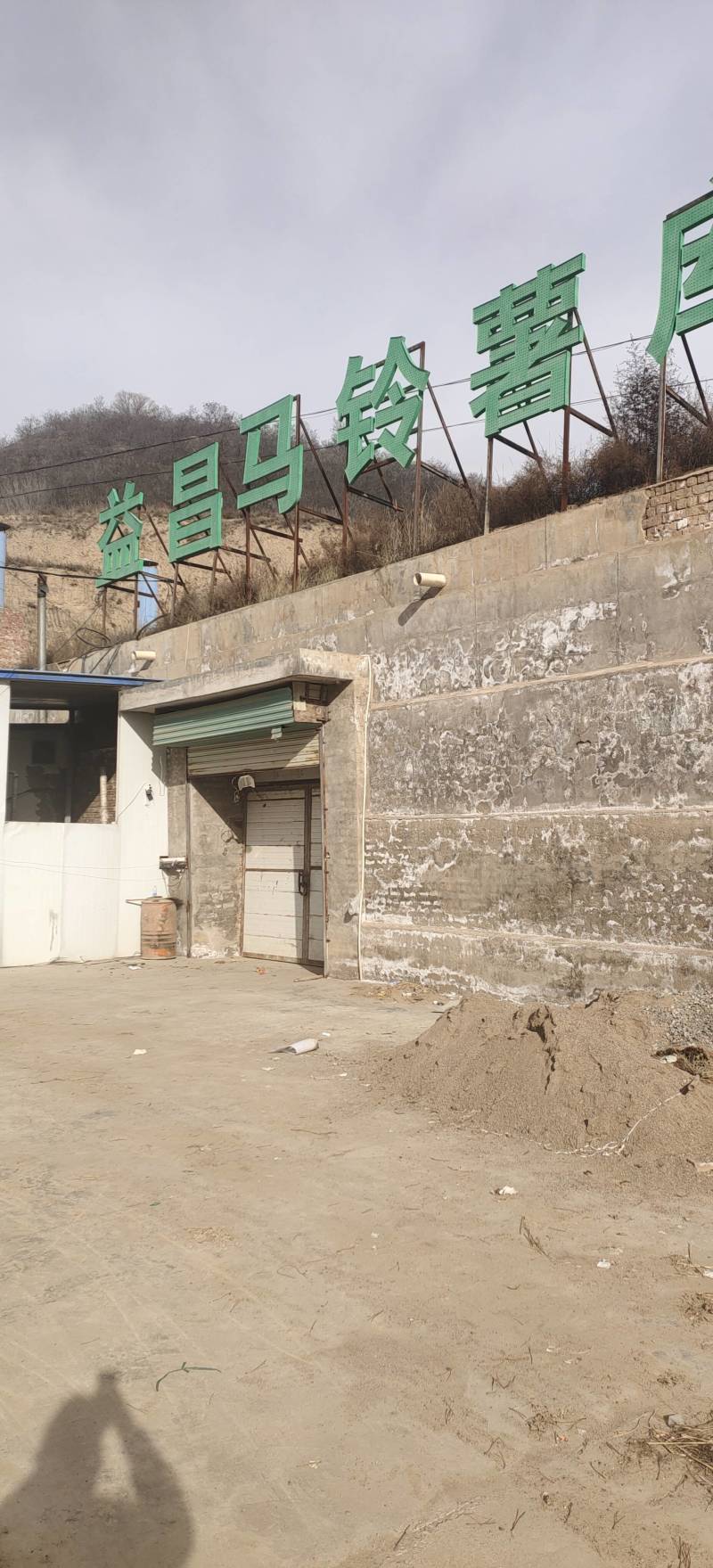 黄皮黄心陇七土豆炸薯片薯条和土豆饼土豆泥的专用薯