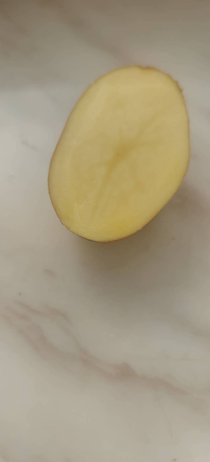 黄皮黄心陇七土豆炸薯片薯条和土豆饼土豆泥的专用薯