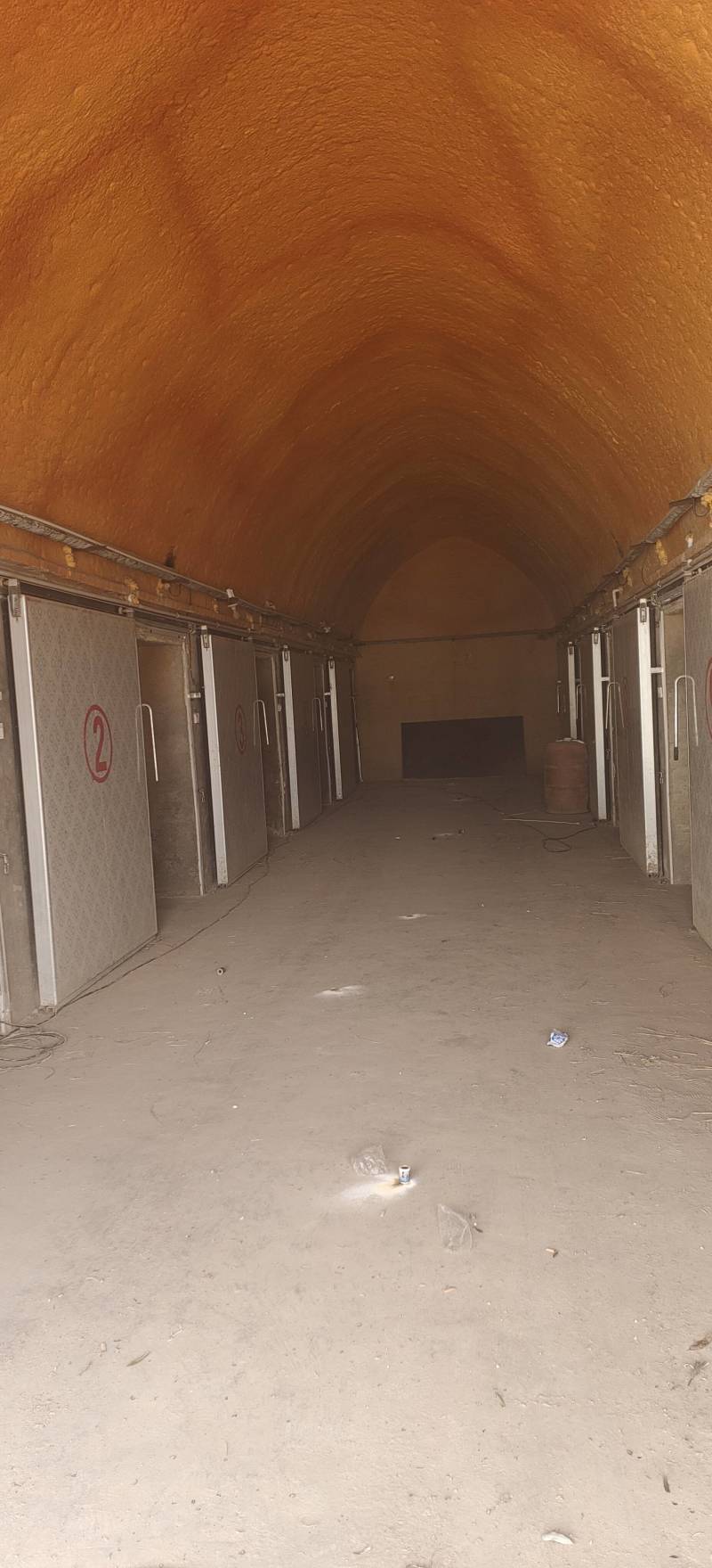 黄皮黄心陇七土豆炸薯片薯条和土豆饼土豆泥的专用薯