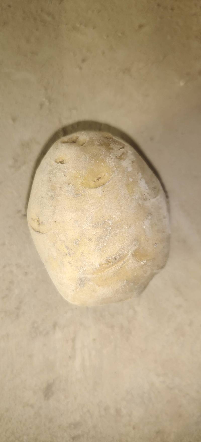 黄皮黄心陇七土豆炸薯片薯条和土豆饼土豆泥的专用薯
