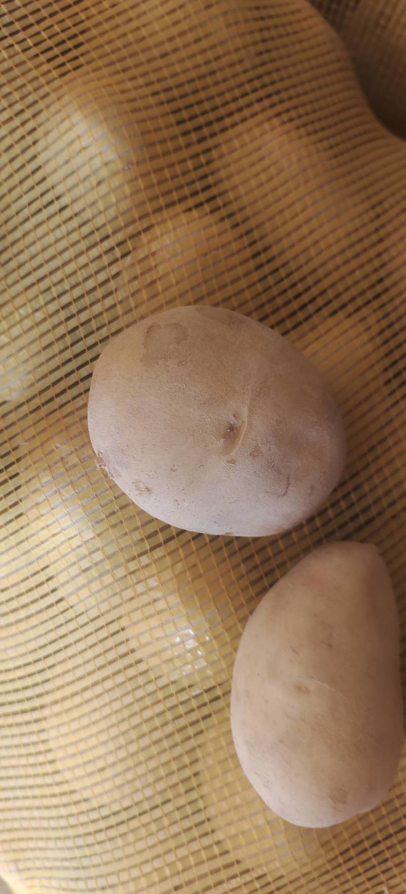 黄皮黄心陇七土豆炸薯片薯条和土豆饼土豆泥的专用薯