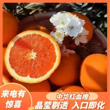 秭归血橙红心️️橙水份充足入口化渣欢迎定购