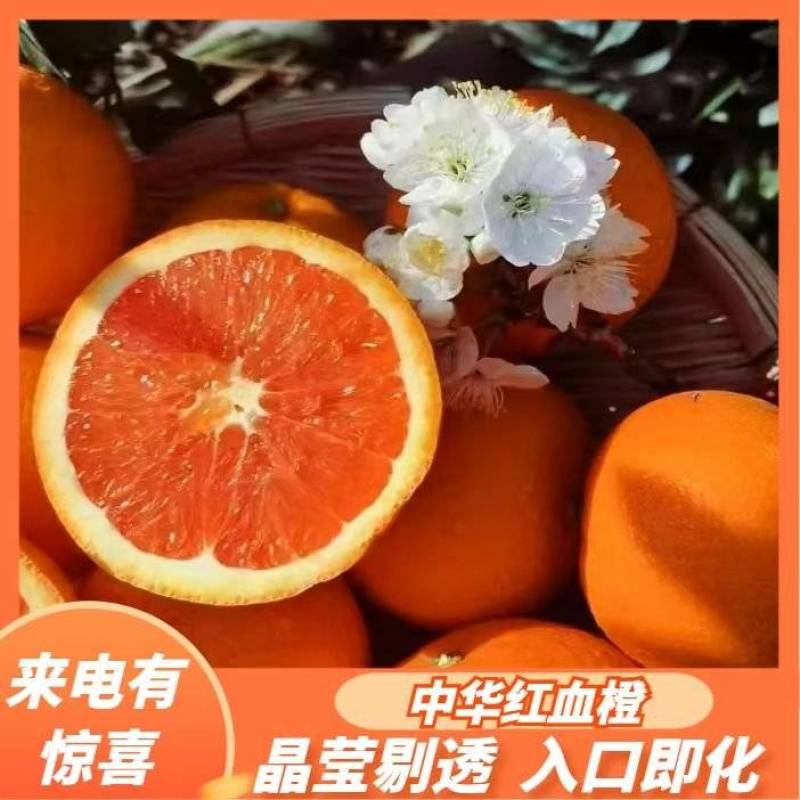 秭归血橙红心️️橙水份充足入口化渣欢迎定购