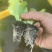 精品团生菜苗基地直发一手货源量大从优欢迎咨询