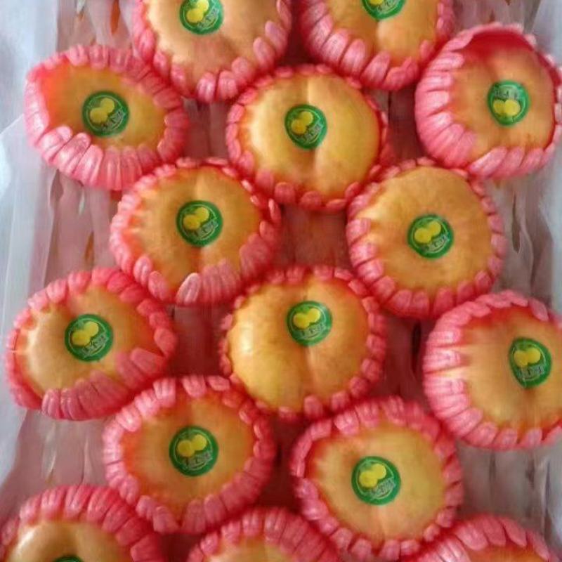 精品油蟠桃大量上市品质保证量大从优一手货源