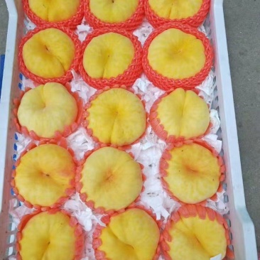 精品毛蟠桃大量上市品质保证量大从优一手货源