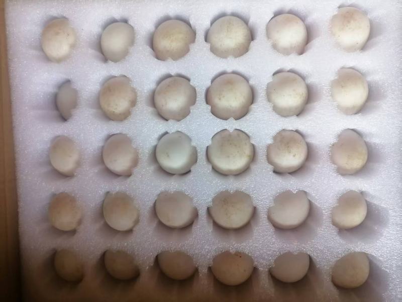 精品土鸭蛋大量供应，基地直发包邮。破损包赔。
