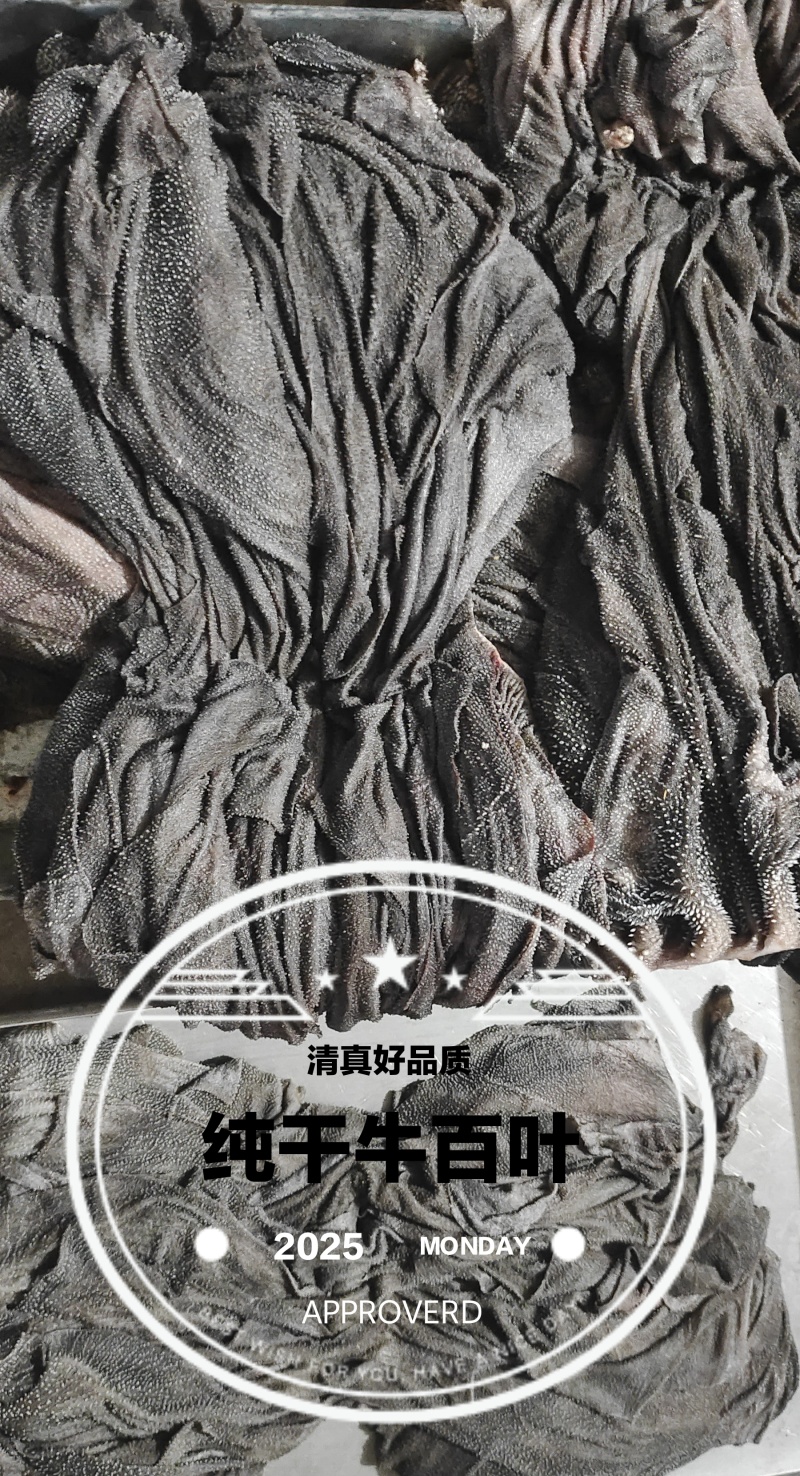 鲜牛百叶牛百叶火锅食材纯干无油，鲜牛毛肚，欢迎老板咨询