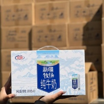 新疆纯牛奶
