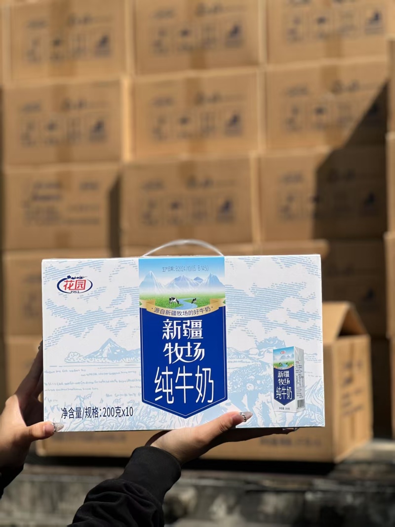 新疆纯牛奶