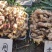 叶面肥蔬菜瓜果生根膨果素支持代理招合伙优惠大
