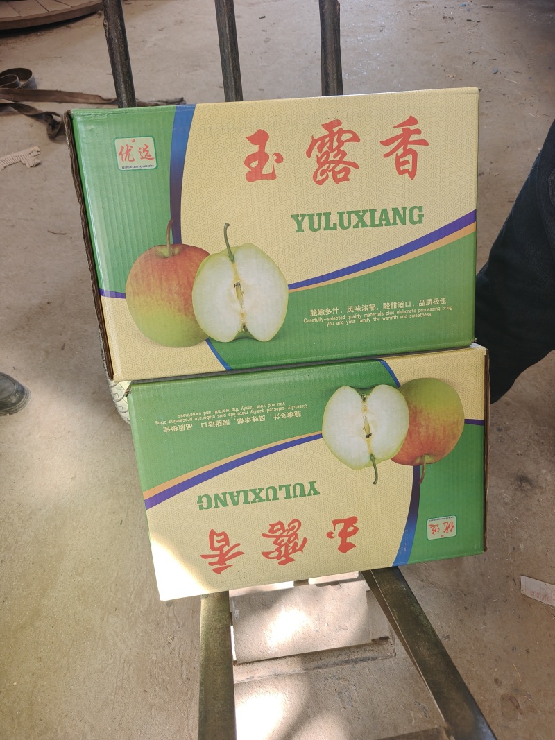 【实力】玉露香梨价格优惠产地直发，货源充足，量大可议价