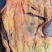 本地牛黄膘牛排薄黄膘五斤真空包装有长期稳定供应能
