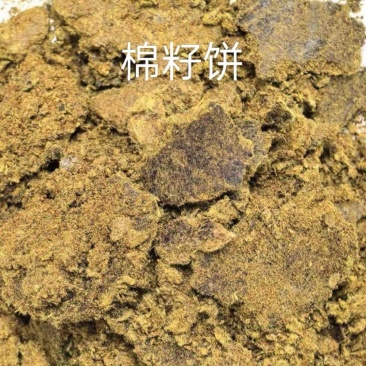 棉籽饼厂家直销一手货源棉籽饼饼类原料
