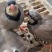 精品鹧鸪厂家直销全国发货肉质鲜美老孕少皆宜够天数