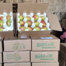 媚梨七号