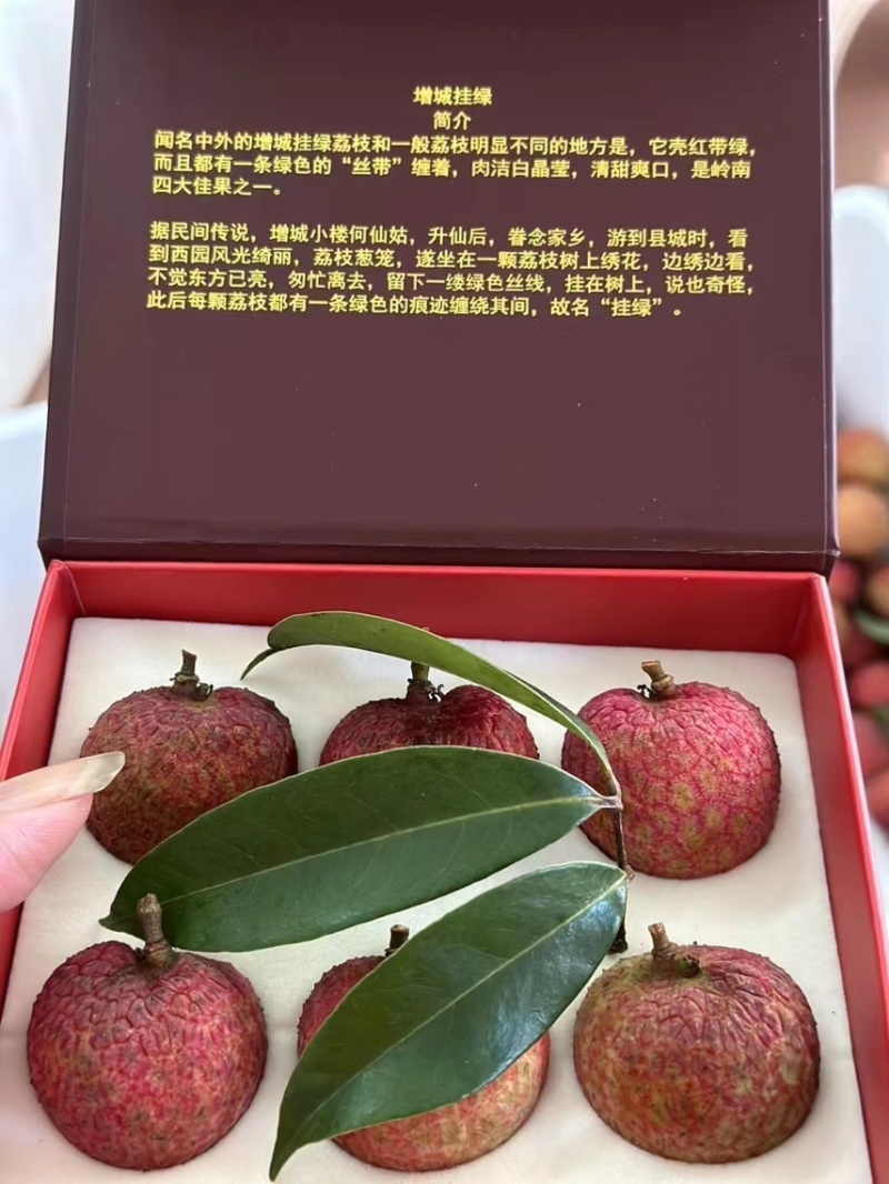 正宗增城二代挂绿荔枝新鲜送礼佳品500g果园现摘现发