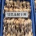 肇庆白条鹧鸪冷冻真空包装养殖基地现杀现发欢迎选购