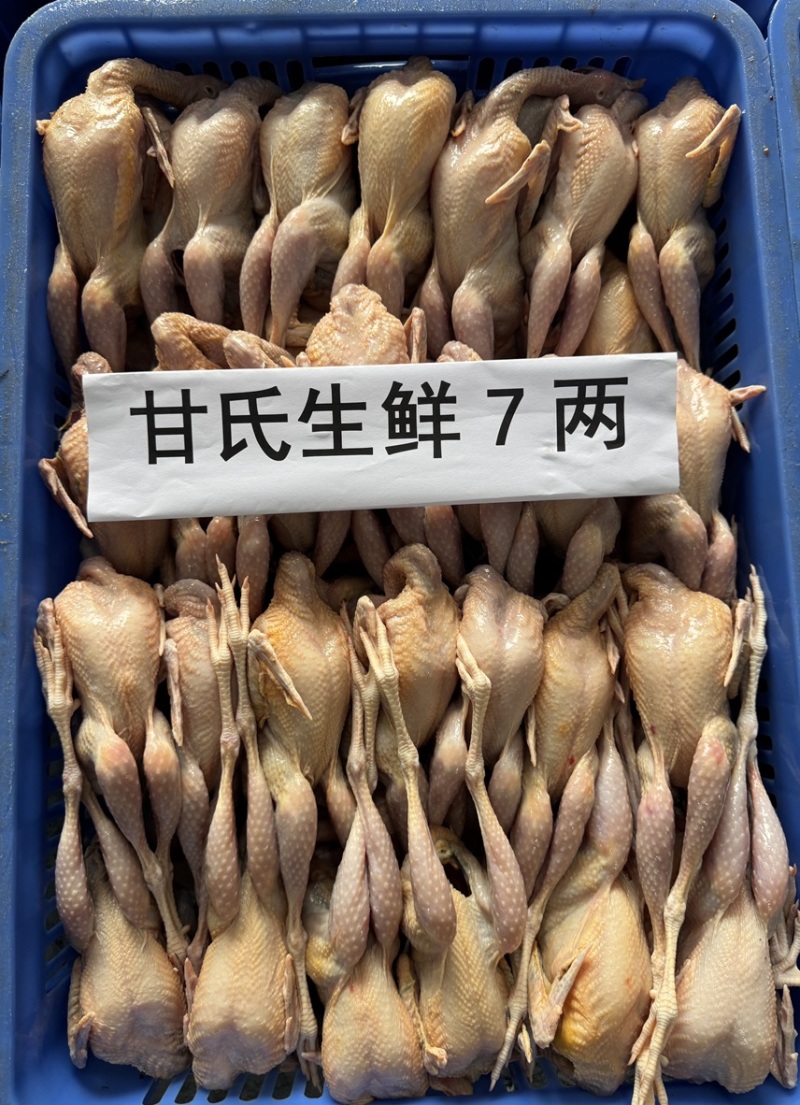 肇庆白条鹧鸪冷冻真空包装养殖基地现杀现发欢迎选购