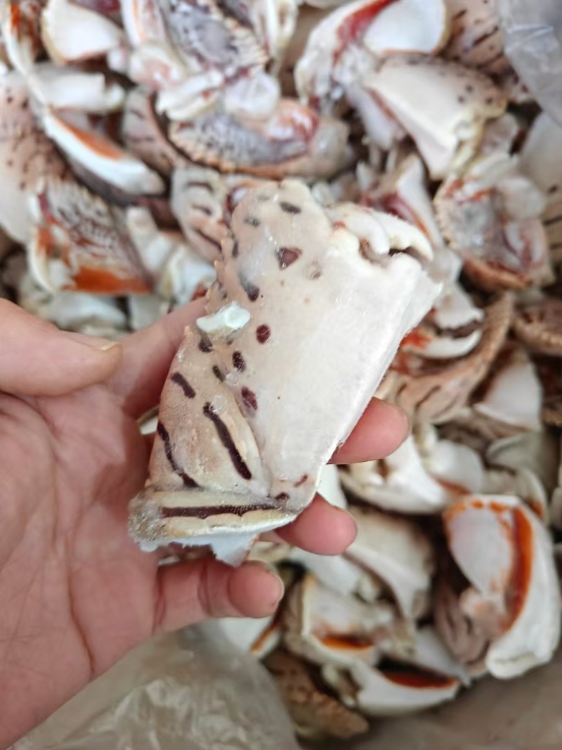大虎纹蟹钳批发