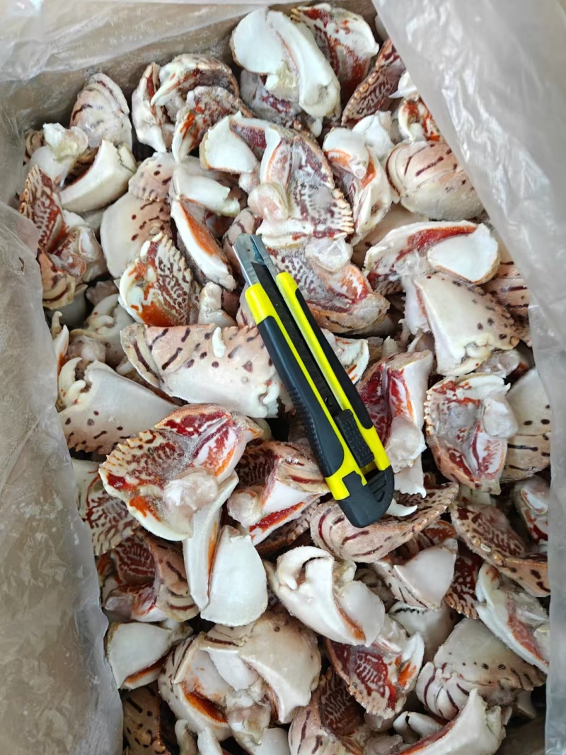 供应虎纹蟹钳元宝蟹钳肉质饱满坏钳几率少