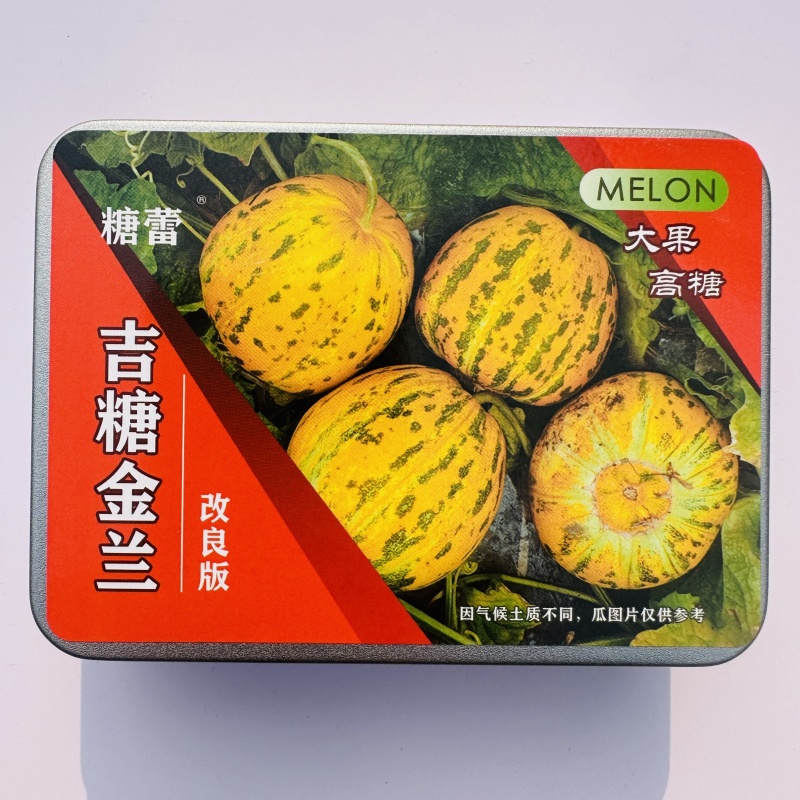 吉糖金兰甜瓜种子露地改良版大果花皮绿肉八里香甜瓜种子高糖