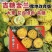 吉糖金兰甜瓜种子露地改良版大果花皮绿肉八里香甜瓜种子高糖