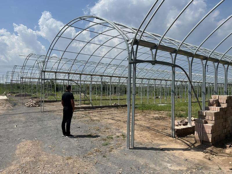 蔬菜大棚钢管椭圆管大棚种植大棚养殖大棚西瓜大棚连体大棚葡萄棚