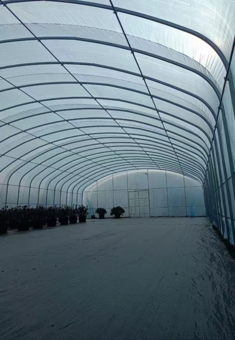 蔬菜大棚钢管椭圆管大棚种植大棚养殖大棚西瓜大棚连体大棚葡萄棚
