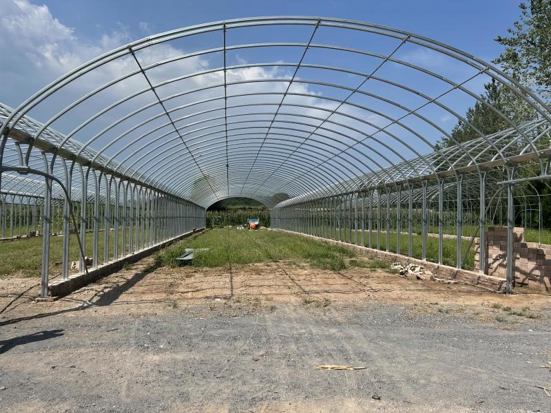 蔬菜大棚钢管椭圆管大棚种植大棚养殖大棚西瓜大棚连体大棚葡萄棚