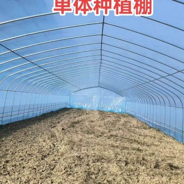蔬菜大棚钢管椭圆管大棚种植大棚养殖大棚西瓜大棚连体大棚葡萄棚
