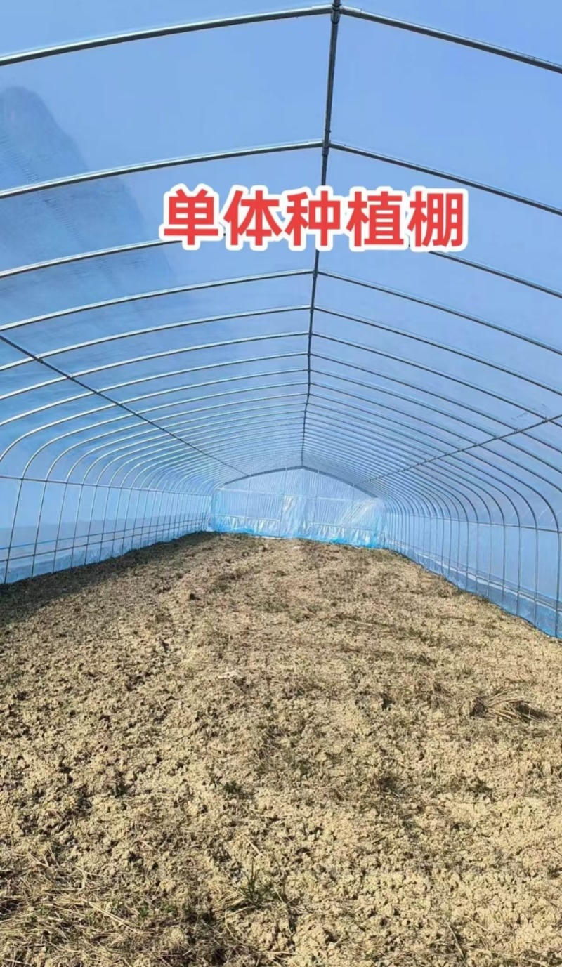 蔬菜大棚钢管椭圆管大棚种植大棚养殖大棚西瓜大棚连体大棚葡萄棚