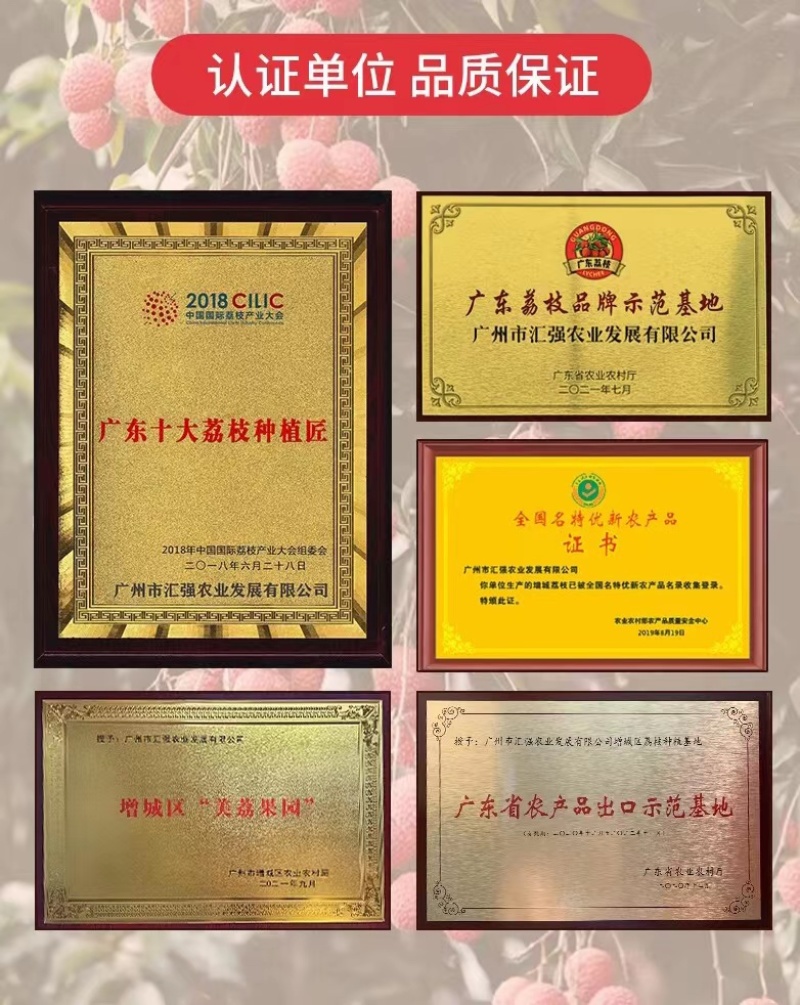 正宗增城二代挂绿荔枝新鲜送礼佳品500g果园现摘现发